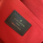 Louis Vuitton Handbags-23*13*14CM - Image 7