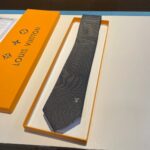 Louis Vuitton Ties - Image 2