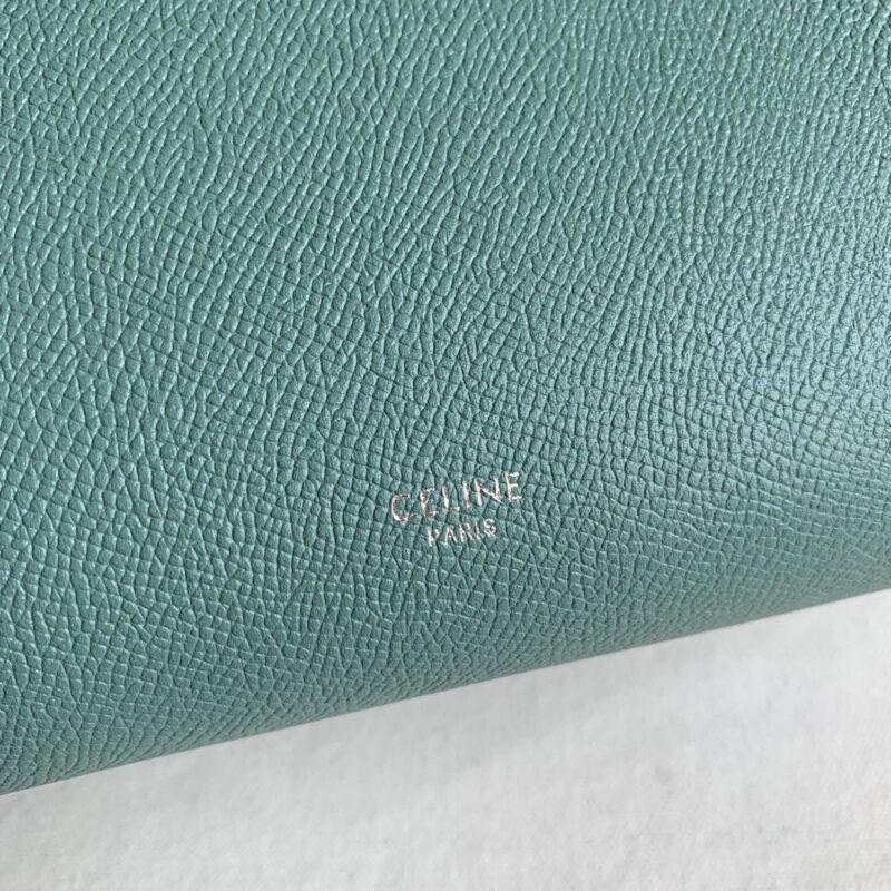 Celin Belt Bag - Image 4