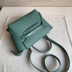 Celin Belt Bag - Image 9