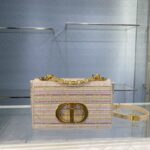 Diro 2022 Caro Bag-20*3*11CM