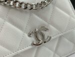 CHANLE Vintage Chain Bag-13*9.5*6CM - Image 4