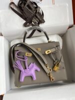 Hermes Kelly-Epsom Leather-25CM - Image 9
