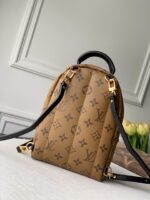 Louis Vuitton Palm Springs Mini My LV World Tour-22/15/9CM - Image 2