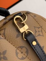 Louis Vuitton Palm Springs Mini My LV World Tour-22/15/9CM - Image 6