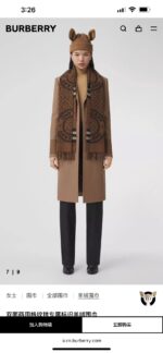 Burberry Scarf-168x30CM - Image 10