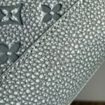 Louis Vuitton M81556 Pouch-29*15*9CM - Image 7