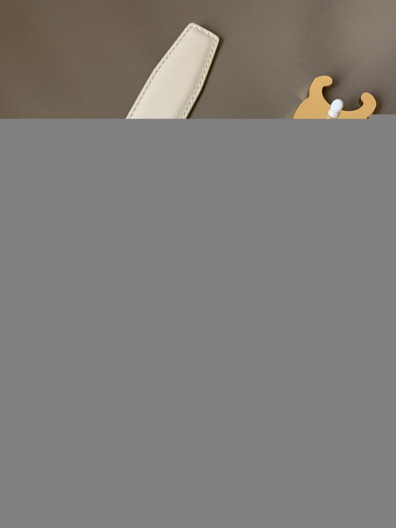 Celin Belt-2.4CM - Image 6