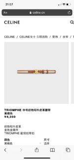 Celin Belt-2.4CM - Image 2