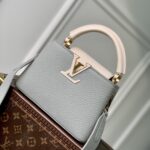 Louis Vuitton Mini Capucines Handlebag-21*14*8CM