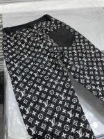 Louis Vuitton Denim Long Pants - Image 5