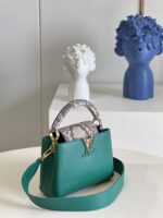 Louis Vuitton Mini Capucines Handlebag-21*14*8CM - Image 7