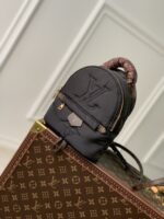 Louis Vuitton Pillow Palm Springs Backpack-17 x 22 x 10CM