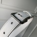 Louis Vuitton Bum Bag-M21862-50*15.5 *4CM - Image 8