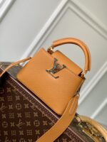 Louis Vuitton Mini Capucines Handlebag-M21168-21*14*8CM