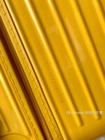 Rimowa Essential Ttrunk Plus Luggage-‭29&31Inch - Image 5