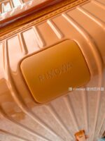 Rimowa Essential Ttrunk Plus Luggage-‭29&31Inch - Image 2