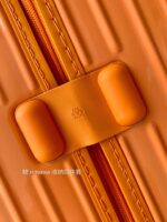 Rimowa Essential Ttrunk Plus Luggage-‭29&31Inch - Image 5