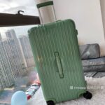 Rimowa Essential Ttrunk Plus Luggage-‭29&31Inch