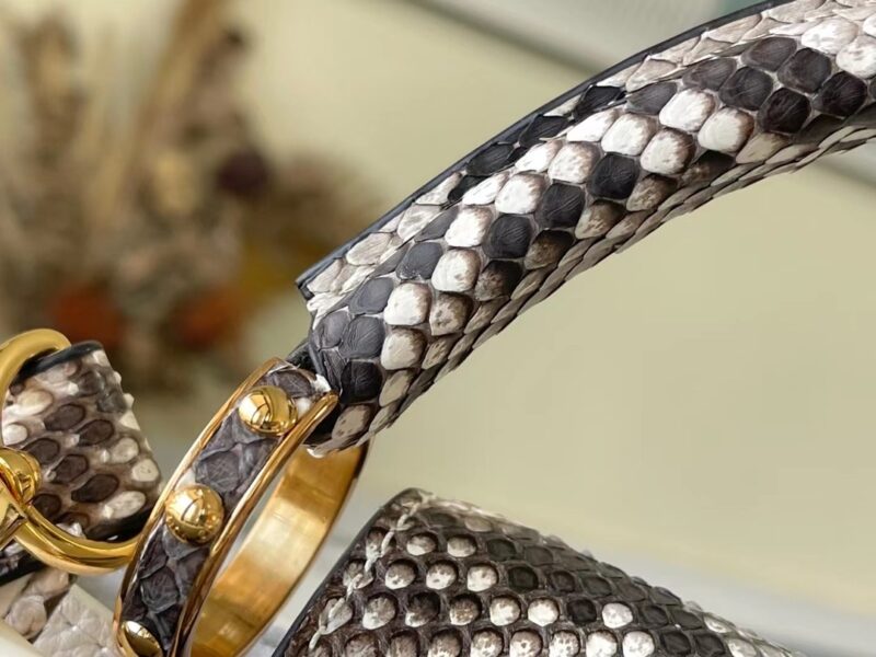 Louis Vuitton Capucines BB-M21164-27*18*9CM - Image 7