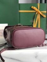 Goyard Alpin Backpack-18.5*21.5.*8.5CM - Image 4