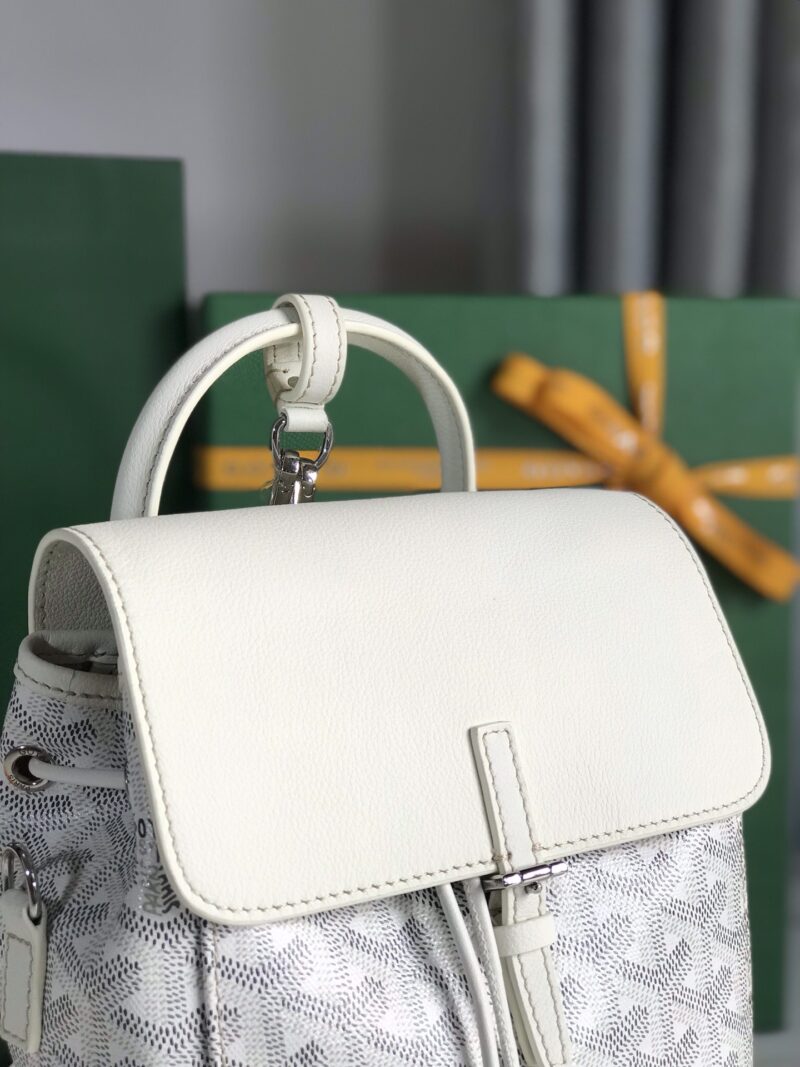 Goyard Alpin Backpack-18.5*21.5.*8.5CM - Image 4