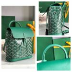 Goyard Alpin Backpack-18.5*21.5.*8.5CM - Image 9