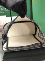 Goyard Alpin Backpack-18.5*21.5.*8.5CM - Image 9