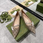 Gucci Ballet Dance Shoes