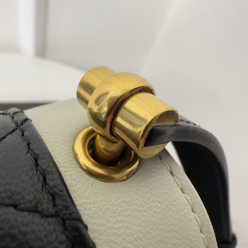 YSL Gaby Bag-20×14.5x5CM - Image 5