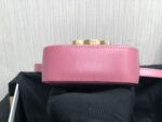 Celina Triomphe Shoulder Bag-11*8*4CM - Image 6