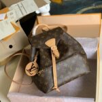 Louis Vuitton Montsouris Backpack-27.5 x 33.0 x 14.CM