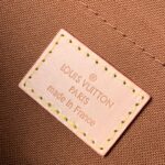 Louis Vuitton Multi Pochette Accessoires-25*13&20*11*10CM - Image 2