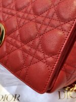 Diro 2021 Caro Bag-28*17*9CM - Image 7