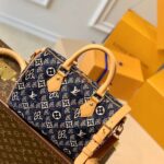 Louis Vuitton Since 1854 Speedy 25-25*19*15CM