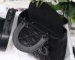 Lady Diro Bag-Black Hardware-20*16.5*8CM - Image 8