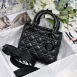 Lady Diro Bag-Black Hardware-20*16.5*8CM