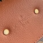 Louis Vuitton Saint Placide Chain Bag-24.5*6.5*16.5CM - Image 4