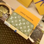 Louis Vuitton Spring in the City Zippy Wallet M81280-19.5x10.5x2.5CM