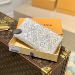 Louis Vuitton Zippy Wallet M81172-20*10CM
