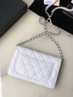 Ch@nel Wallet On Chain-Silver Hardware-19*12*3.5CM - Image 6