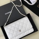 Ch@nel Wallet On Chain-Silver Hardware-19*12*3.5CM