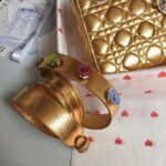 Lady Diro Bag-Gold Hardware-20*16.5*8CM - Image 4