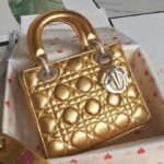 Lady Diro Bag-Gold Hardware-20*16.5*8CM - Image 6