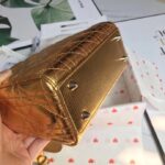 Lady Diro Bag-Gold Hardware-20*16.5*8CM - Image 9