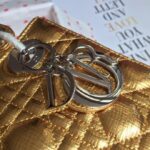 Lady Diro Bag-Gold Hardware-20*16.5*8CM - Image 8