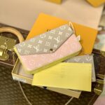 Louis Vuitton Spring in the City Pochette Félicie Wallet -21*12*3CM