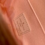 Louis Vuitton Spring in the City Pochette Félicie Wallet -21*12*3CM - Image 9