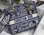 Lady Diro Bag-24*20*11CM - Image 6