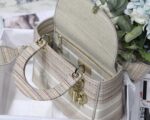 Lady Diro Bag-24*20*11CM - Image 6